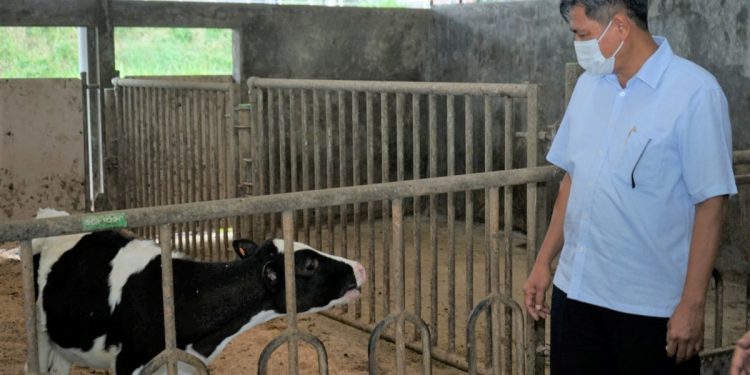 Topang Kinerja Sektor Manufaktur, Industri Agro Berkontribusi Hingga 51%